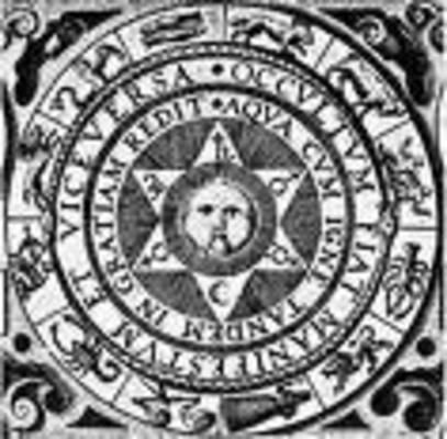 Product picture  Modern Witches Herbal Healing Potions